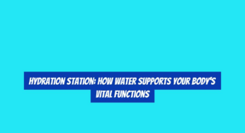 Hydration Station: How Water Supports Your Body’s Vital Functions