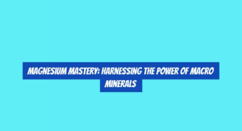 Magnesium Mastery: Harnessing the Power of Macro Minerals