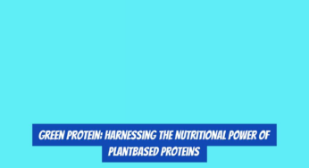 Green Protein: Harnessing the Nutritional Power of PlantBased Proteins