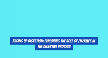 Juicing Up Digestion: Exploring the Role of Enzymes in the Digestive Process
