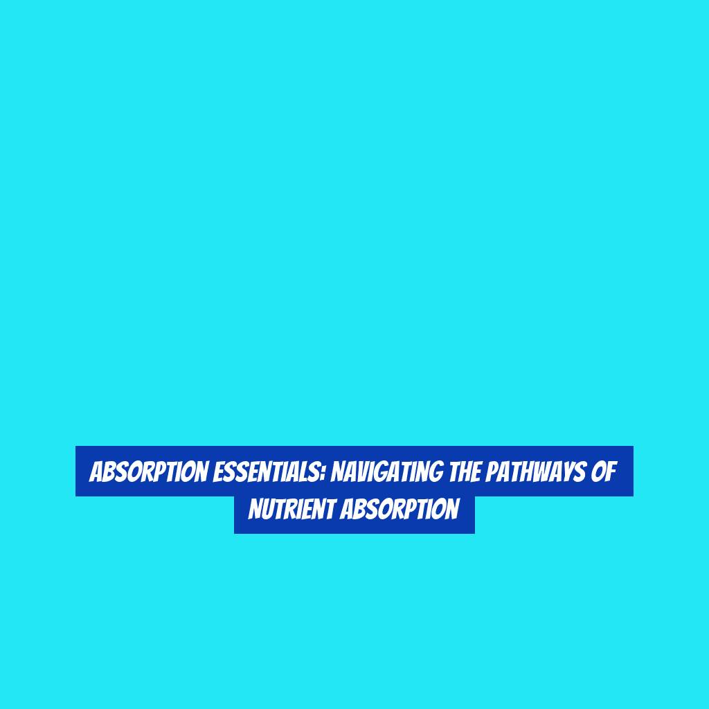 Absorption Essentials: Navigating the Pathways of Nutrient Absorption