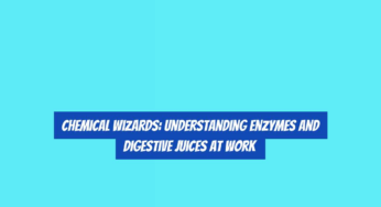 Chemical Wizards: Understanding Enzymes and Digestive Juices at Work